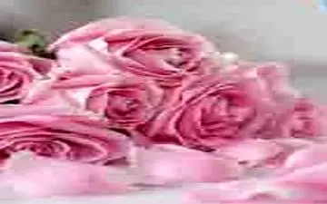  فواید شگفت انگیز گلاب که نمی‌دانستید!