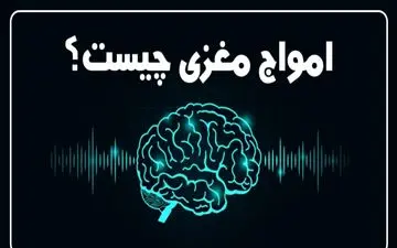 توضیحاتی در مورد امواج مغزی انسان : بتا ، آلفا ، تتا و دلتا