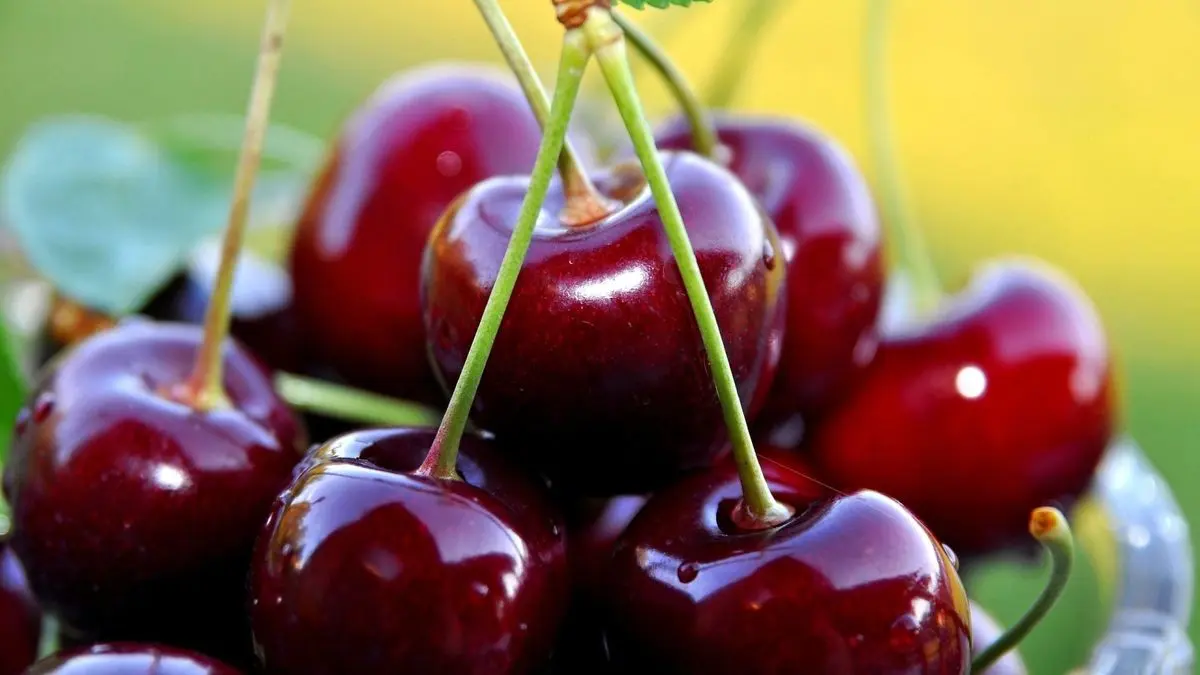  درمان سریع سردرد با یک میوه تابستانی خوشمزه!