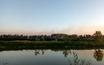 حریق تالاب انزلی مهار شد 