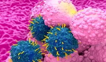 هشدار درباره مصرف این ماده غذایی مفید برای زنان