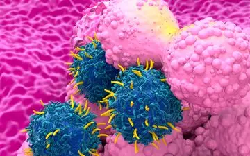 هشدار درباره مصرف این ماده غذایی مفید برای زنان