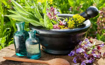 مزاج فصل بهار را بهتر بشناسید