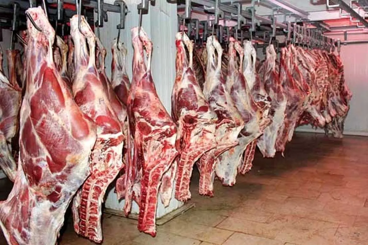 خطر مرگباری که پشت مصرف گوشت دام‌های صنعتی نهفته است