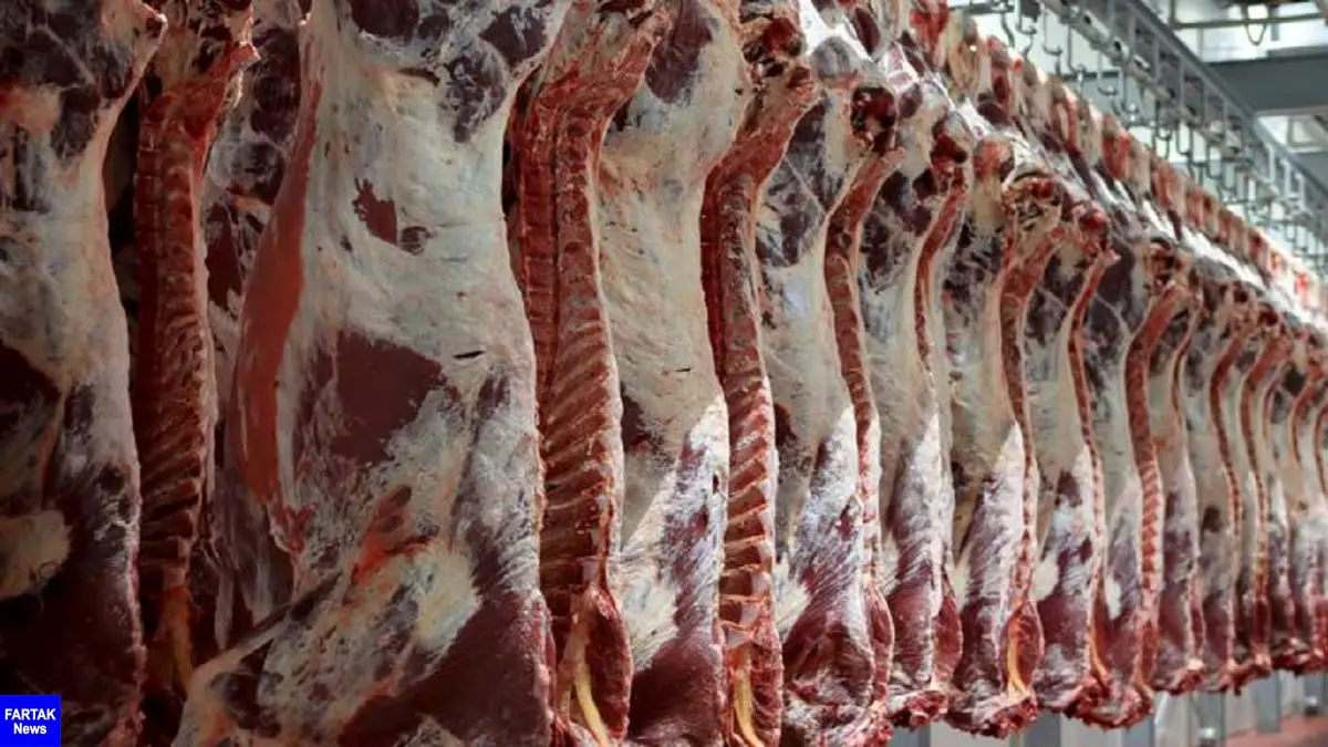 افزایش ۱۹ درصدی تولید گوشت قرمز 