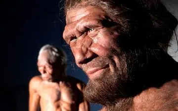 دانستنی هایی در مورد شکل بینی!|شکل دماغ‌تان را از کی به ارث برده‌اید؟!
