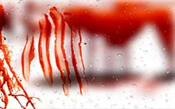 مواجه شدن پدر با صحنه وحشتناکی در اتاق دخترش