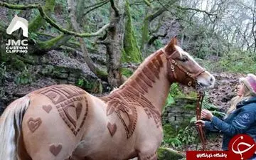 مهارت زن انگلیسی در آرایش حیوانات +فیلم