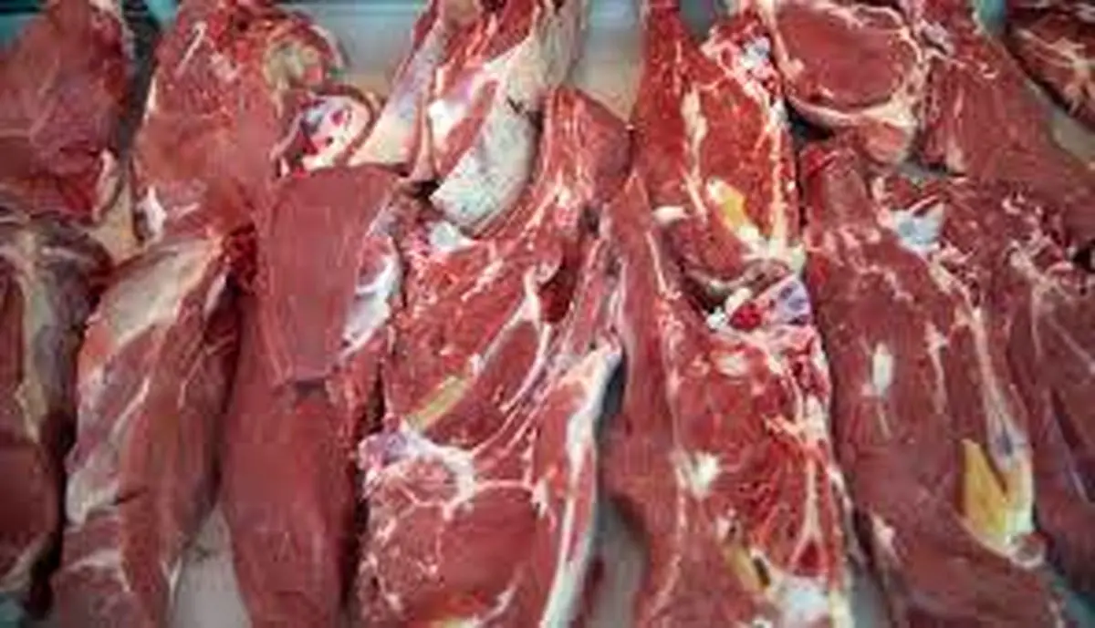 قیمت رسمی گوشت اعلام شد/ صدردادرس: راه سوءاستفاده مافیای گوشت از شرایط جدید را ببندید
