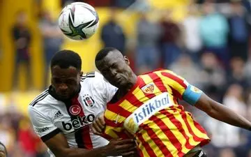 تور مجیدی و اتحاد کلباء برای شکار مامه تیام