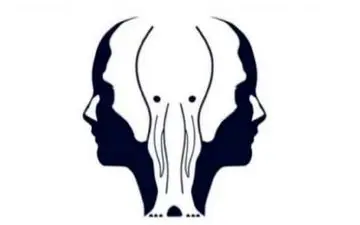 شخصیت شناسی| بگو اول چی دیدی تا بگم چقدر دل نازکی