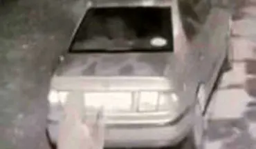دزدیدن پلاک خودرو برای ورود به استان گیلان