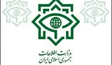 اطلاعیه مهم وزارت اطلاعات بعد از تیراندازی در حرم امام و مجلس