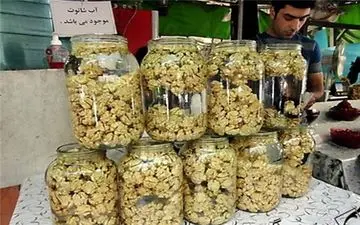 بیماری خطرناک گردوهای دستفروشان!