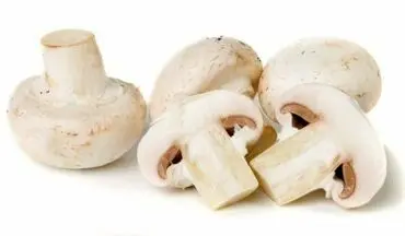  فوائد مصرف روزانه قارچ برای سلامت