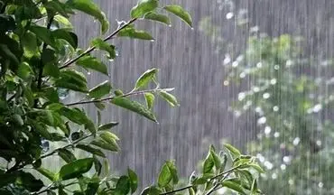 
بارش باران در اغلب مناطق کشور