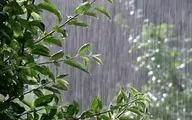 
بارش باران در اغلب مناطق کشور