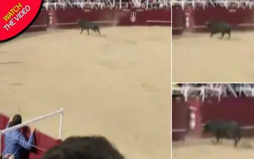 مرگ گاوباز بر اثر حمله برق آسای گاو! +فیلم