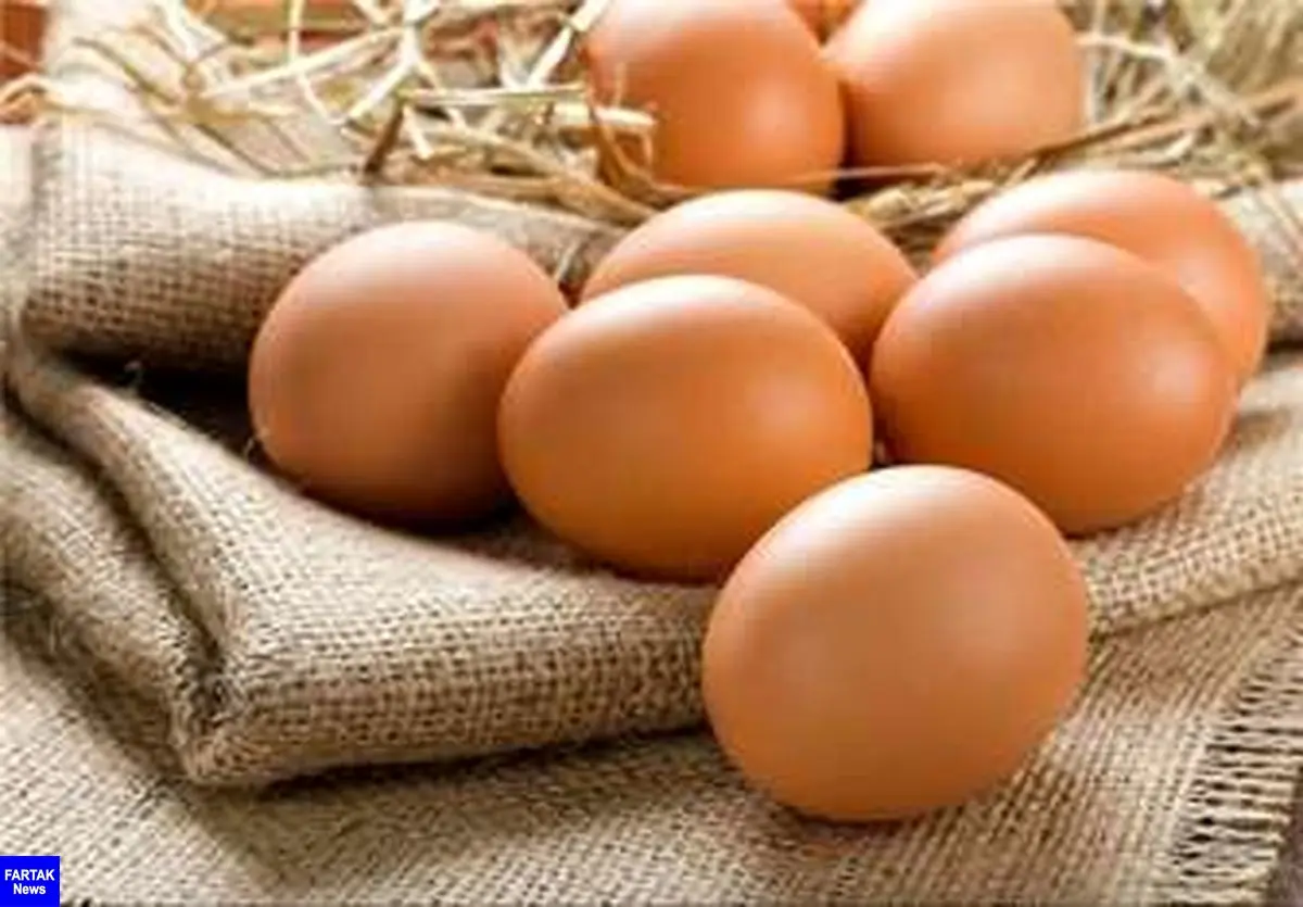  خرابکاری در صادرات تخم‌ مرغ