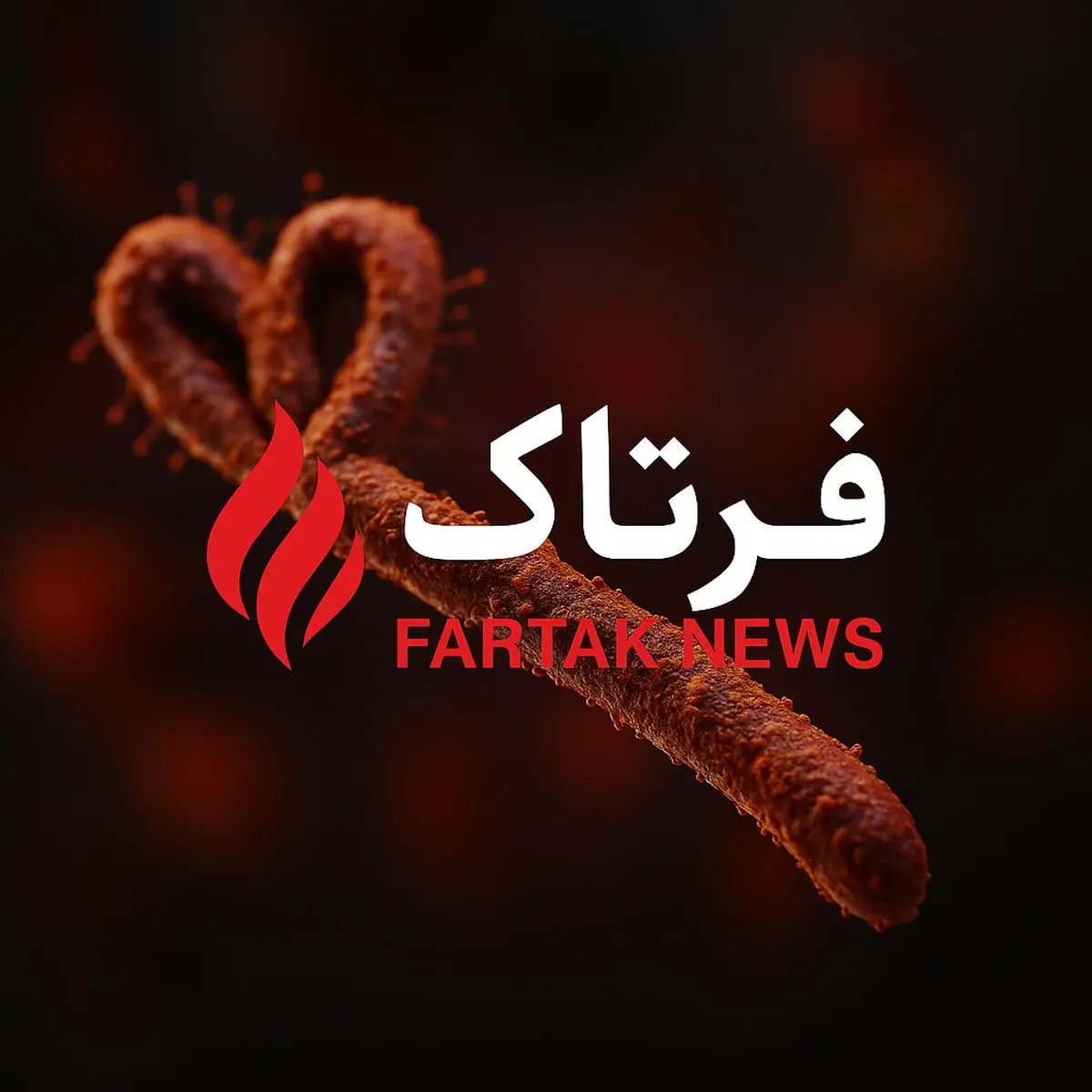 هشدار جدی؛ ایبولا چگونه از حیوانات به انسان سرایت می‌کند؟
