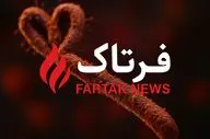 هشدار جدی؛ ایبولا چگونه از حیوانات به انسان سرایت می‌کند؟