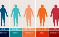 تاثیر چاقی در شاخص های طول عمر و کیفیت زندگی