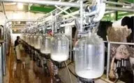 سالانه یک میلیون تن محصولات لبنی بر پایه شیر در کشور تولید می‌شود‌
