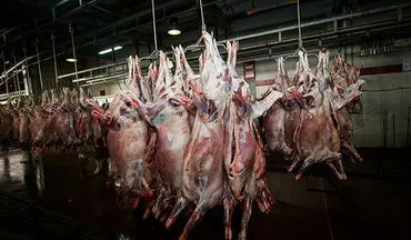 قاچاق 2 میلیاردی گوشت قرمز در میامی