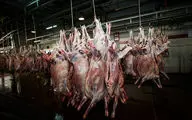 قاچاق 2 میلیاردی گوشت قرمز در میامی