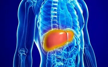 درمان کبد چرب با این عصاره‌ها 