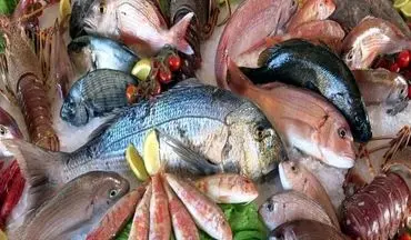 قیمت جدید ماهی در بازار شب عید / قزل آلا چند شد؟ 