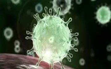 فوت یک نفر مبتلا به کرونا در آذربایجان‌غربی/ 8 بیمار از بیمارستان ترخیص شدند