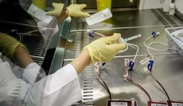 بازگشت امید به درمان بیماران با یک زباله زایمانی/هزینه ذخیره‌سازی خون بند ناف چقدر است؟