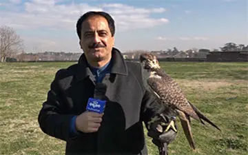 پشت صحنه پلاتو گفتن معصومی نژاد با یک شاهین از رم! + فیلم