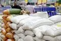قیمت برنج هندی ۳۱ مرداد ۱۴۰۴ | کیسه ۱۰ کیلویی برنج‌های خاطره، طبیعت، محسن چند؟ + جدول