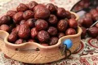 میوه‌ای جادویی با خواص درمانی بی‌نظیر در طب سنتی ایرانی