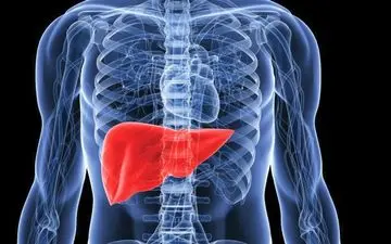  خداحافظی با کبد چرب با ساده ترین راه ها!