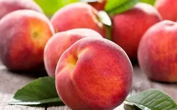 مصرف هلو و خطر مرگ!