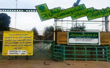 توسعه کشت قراردادی دانه های روغنی در مازندران