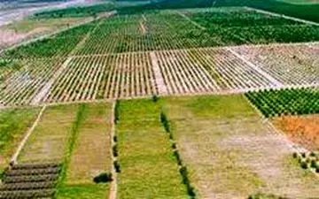 افزایش 950 درصدی اجرای طرح کاداستر در استان کرمانشاه طی سال گذشته