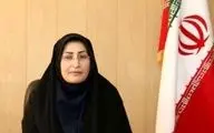 تحقق ۵۱ درصدی سهمیه اشتغال در شهرستان روانسر