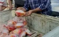 حذف 150قطعه مرغ فاسد  از چرخه مصرف در کرمانشاه