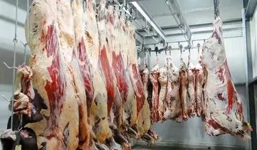 عرضه گوشت بره با قیمت تنظیم بازار آغاز شد