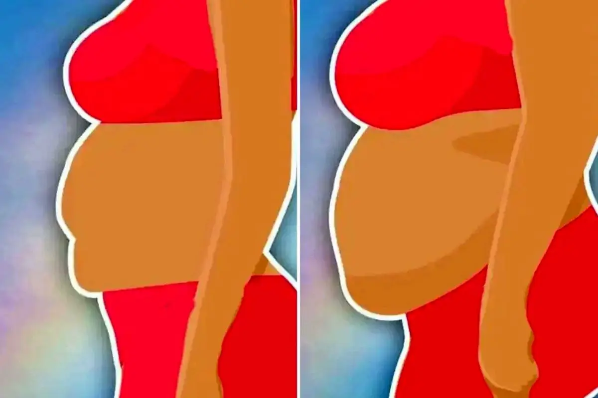 کدام مدل شکم نشانهی خطر است؟ بررسی علمی فرمهای مختلف شکم