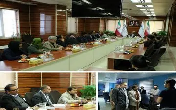 پیشنهاد تشکیل کارگروه رسانه ای از کشورهای همسایه