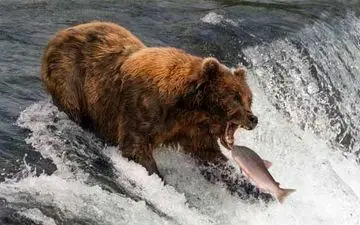 شاهکار عکاس نشنال جئوگرافیک (+عکس)