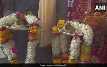 مراسم عجیب ازدواج دو قورباغه در هندوستان +فیلم