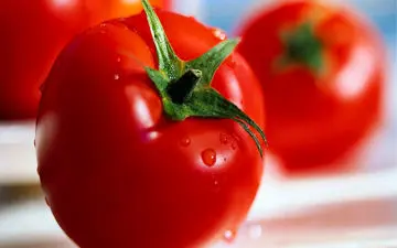 خواص گوجه فرنگی در بارداری