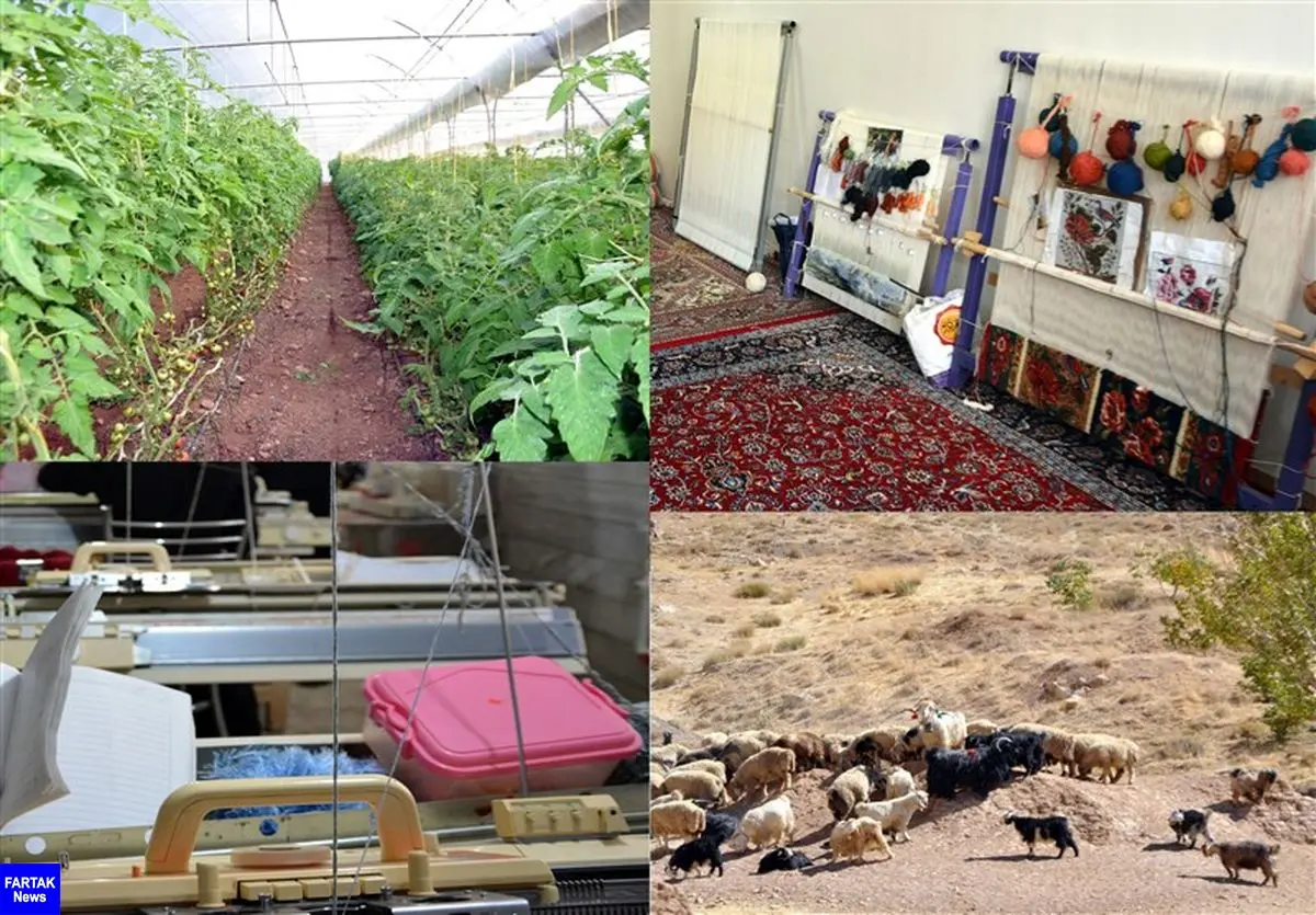 69 درصد از اعتبارات اشتغال روستایی و عشایری استان کرمانشاه جذب شد