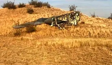  یک هواپیمای نظامی سقوط کرد+ جزئیات 